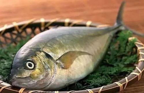 娱乐吃瓜鱼,揭秘娱乐圈那些不为人知的幕后故事 第2张 娱乐吃瓜鱼,揭秘娱乐圈那些不为人知的幕后故事 第2张