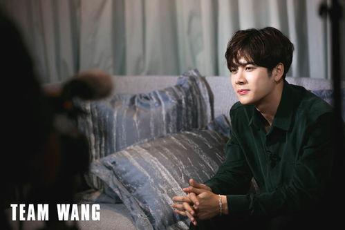 爆料王嘉尔视频大全最新 第3张 爆料王嘉尔视频大全最新 第3张